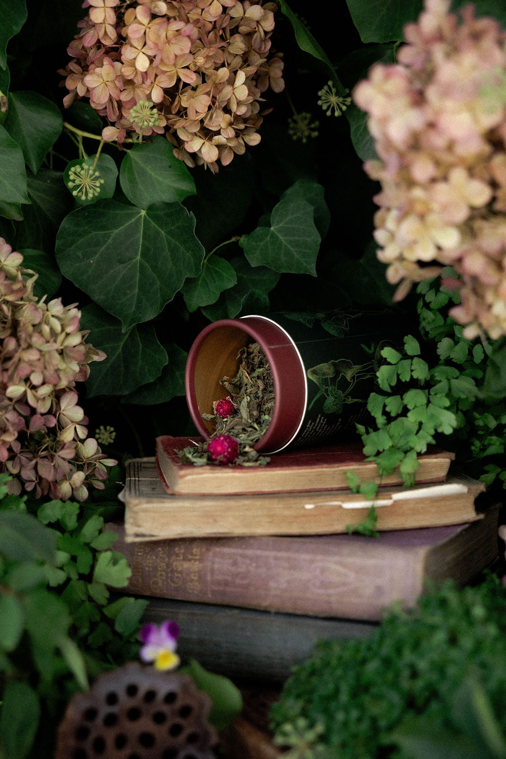 Enchant-Mint