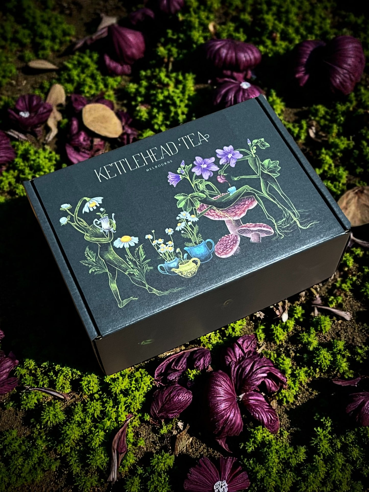The Merry Little Steep Gift Box
