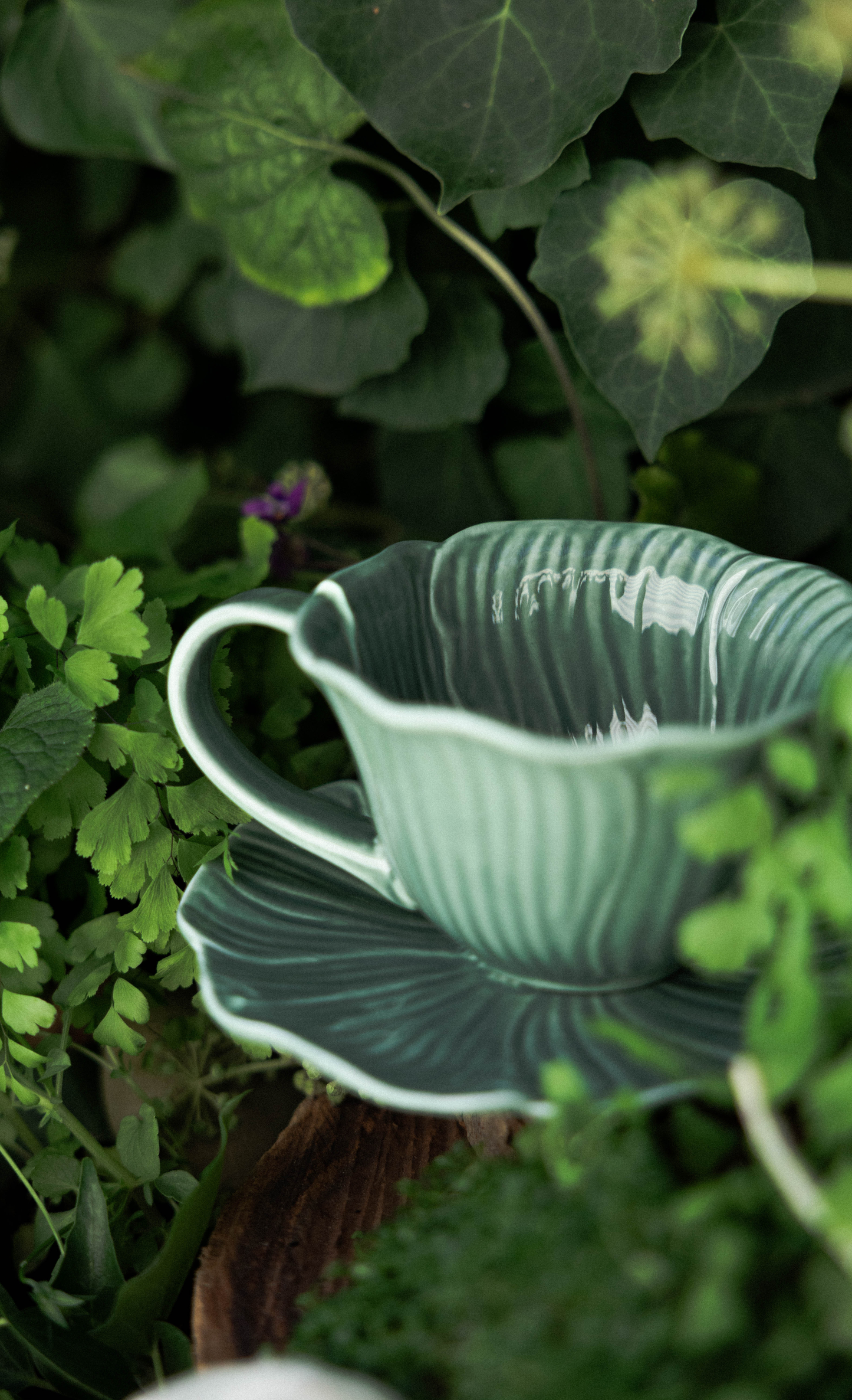 The Blooming Cup Gift Box