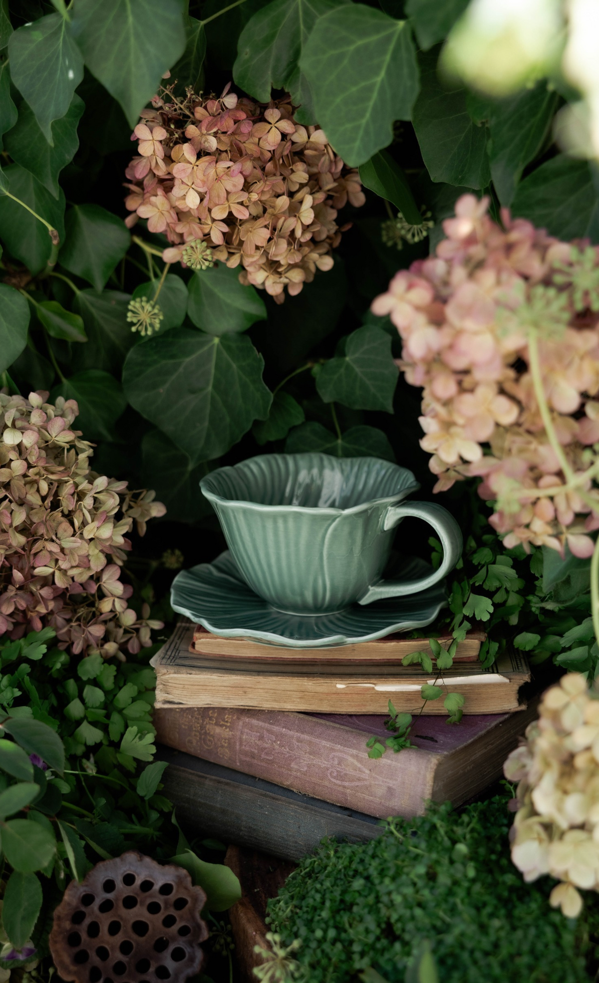 The Blooming Cup Gift Box