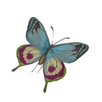 Butterfly decoration 4