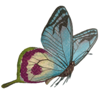 Butterfly decoration 1