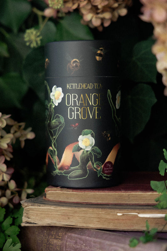 Orange Grove