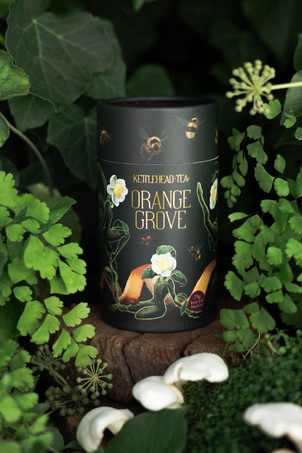Orange Grove